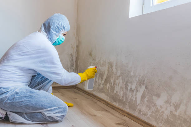 Licensed Mold Testing service in Columbia, MD - WQB Mold Removal