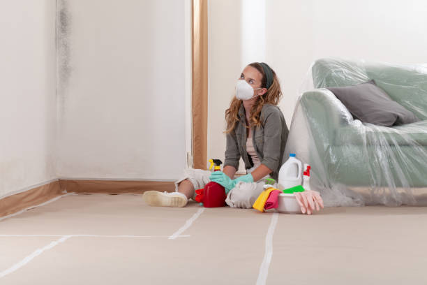 Reliable Mold Testing contractor in Columbia, MD by WQB Mold Removal